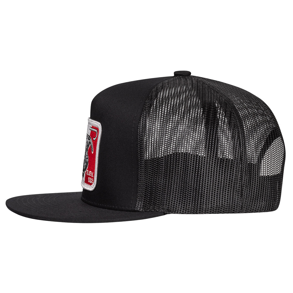 Black & Black 4" Mexico Bull Patch Cap
