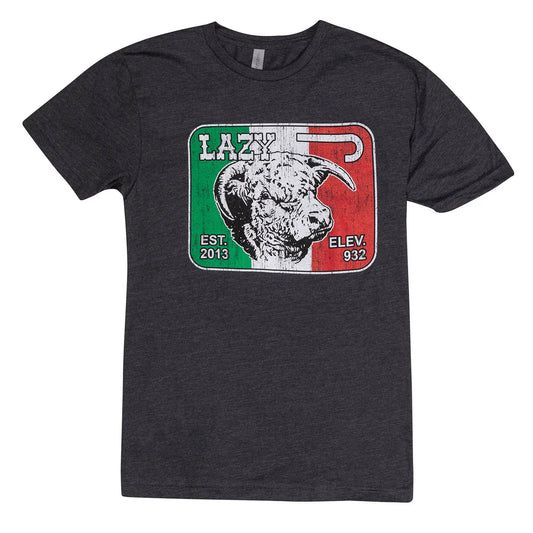 Mexico Elevation