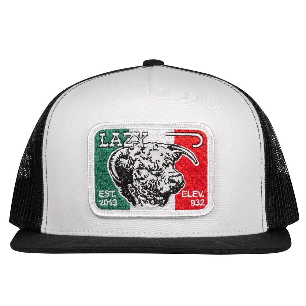 Mexico Elevation Patch