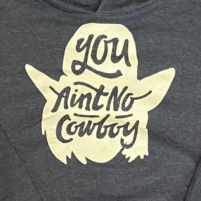 You Ain't No Cowboy