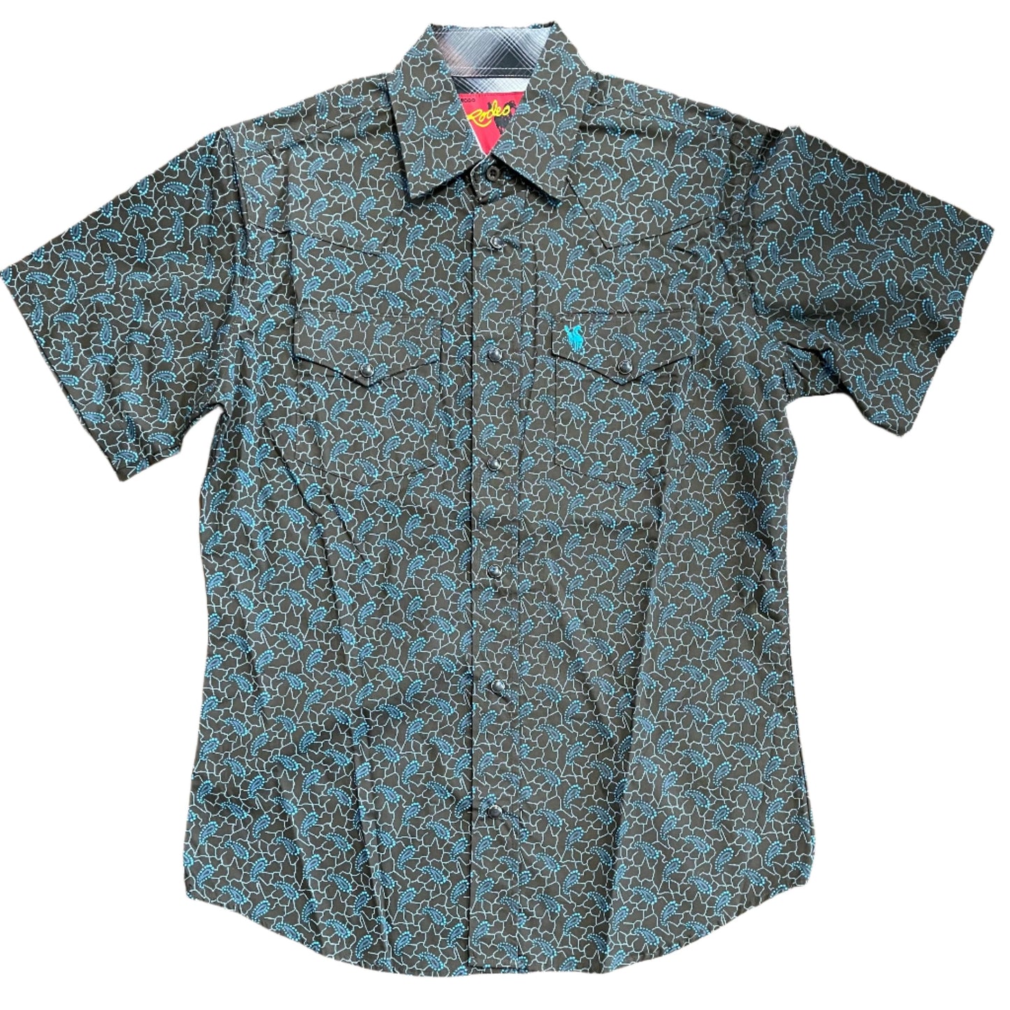 Turquoise Paisley