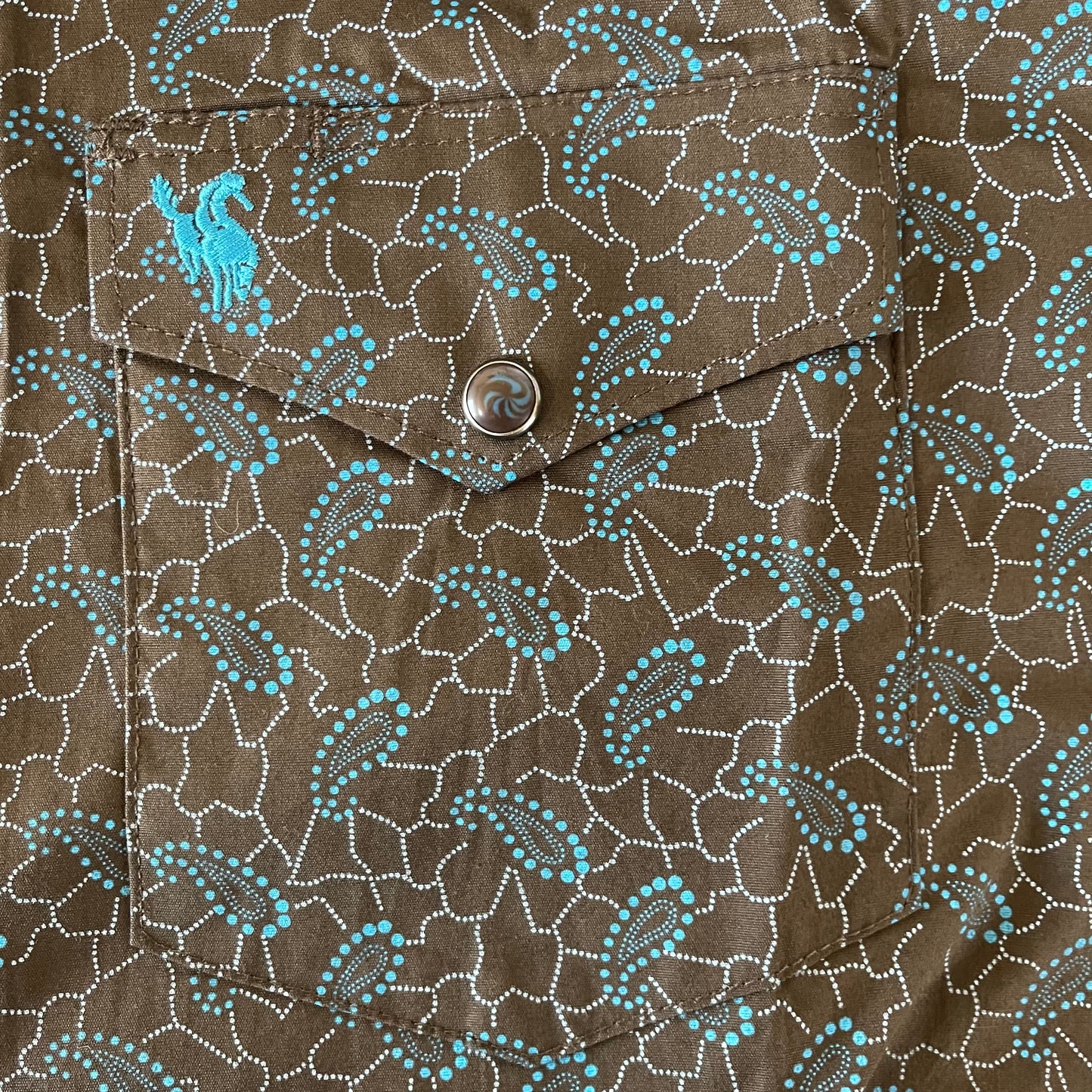 Turquoise Paisley