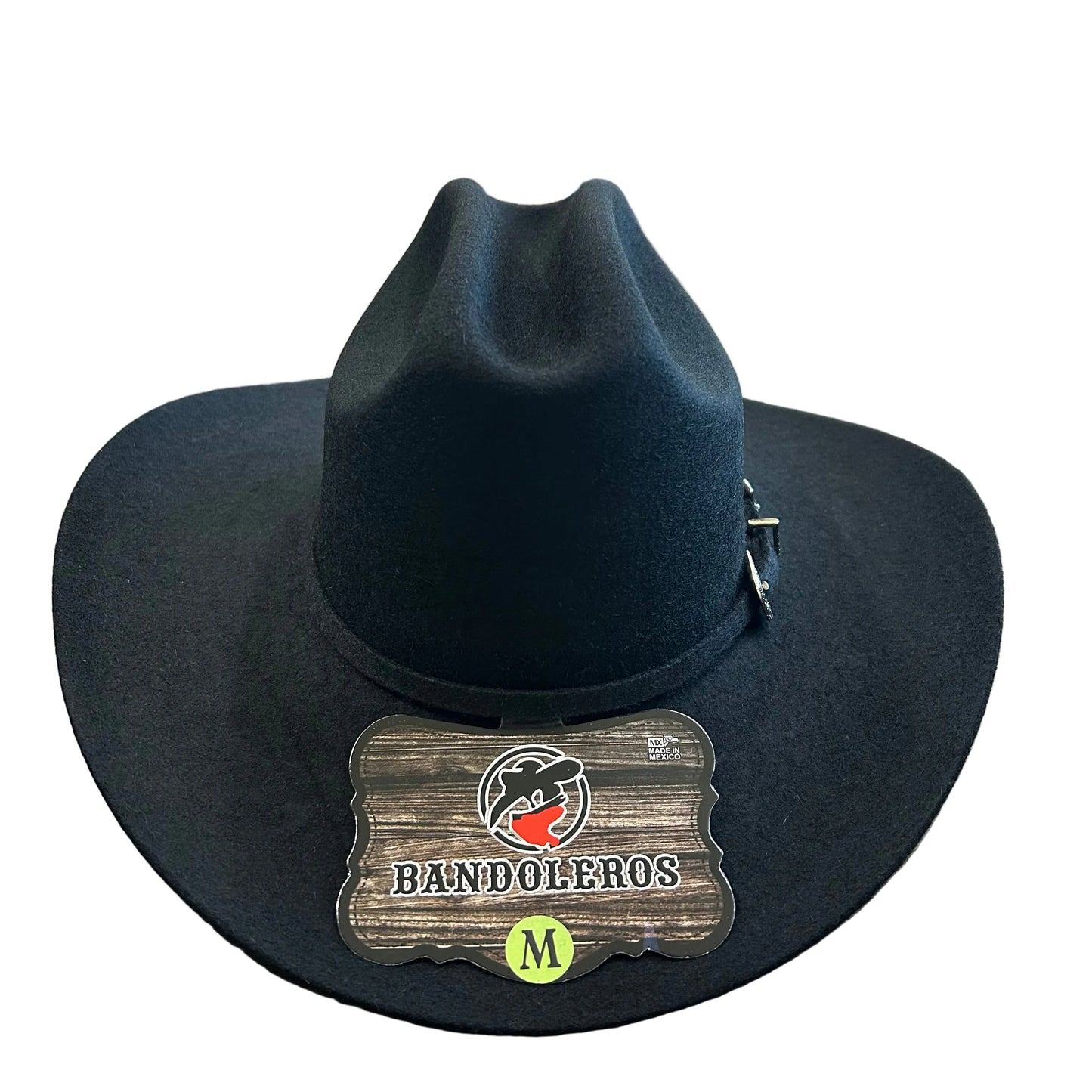 Sinaloa Tejana - Youth