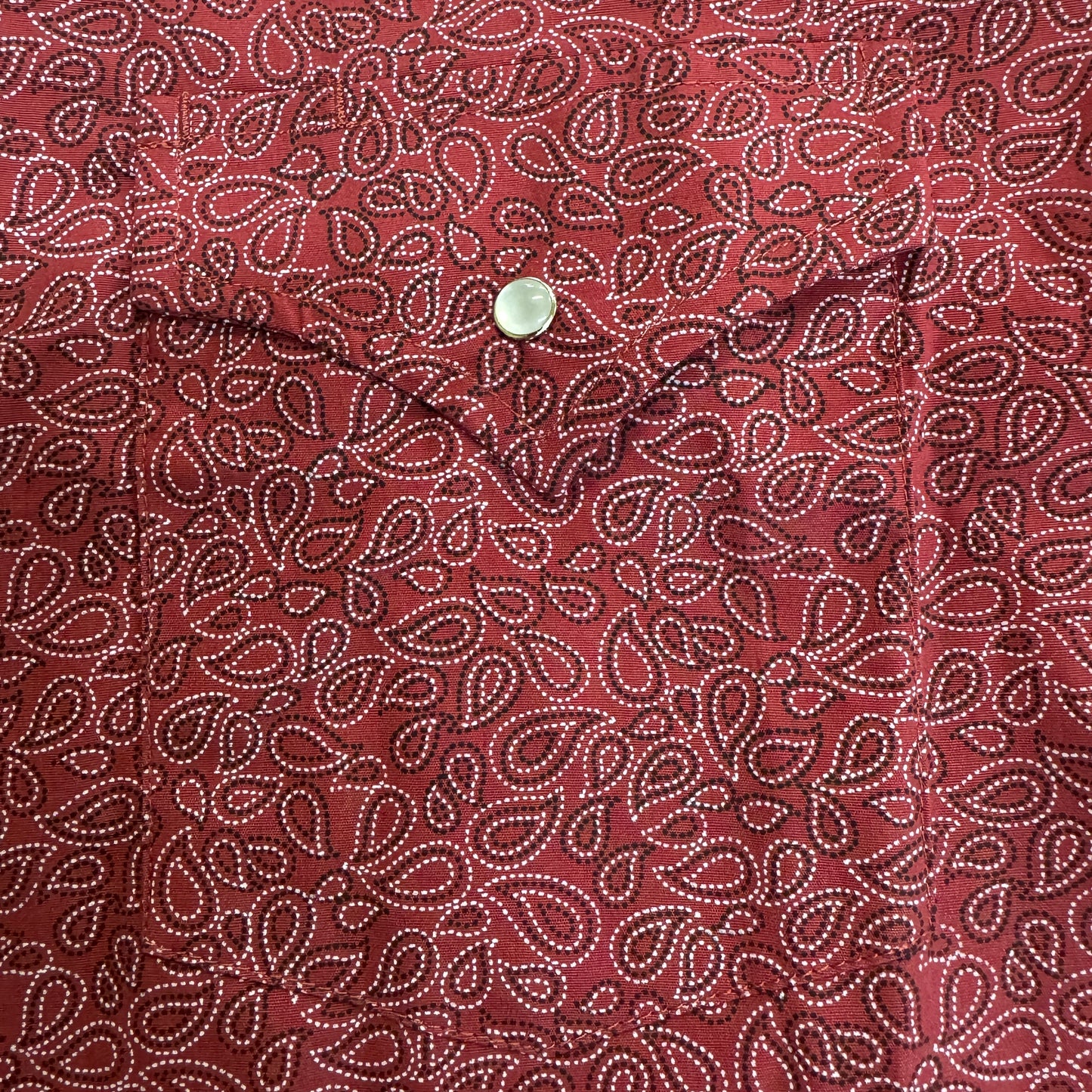 Paisley Print Western Snap L/S