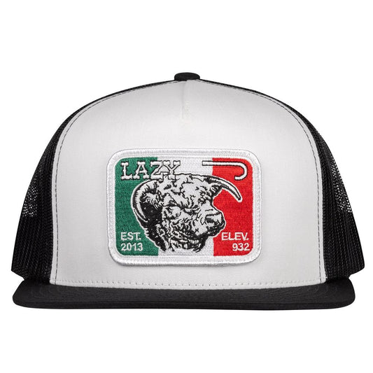 Mexico Elevation Patch